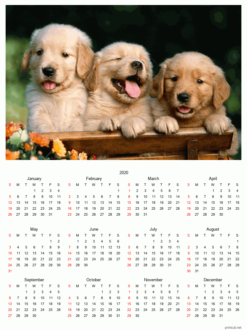  Phto Calendar