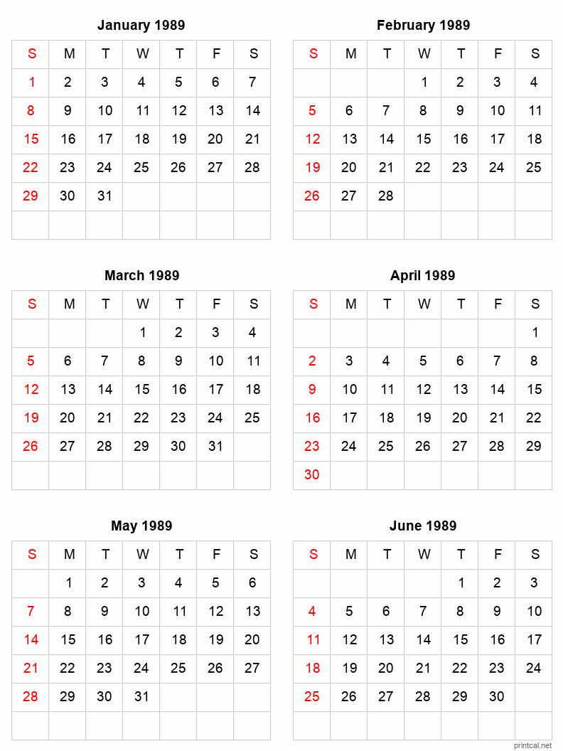 6 month calendar January to June 1989